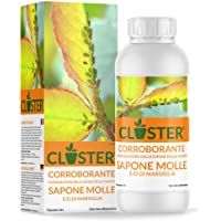 CLOSTER Jabón Potasico Puro (1 LT) - Insecticida Biodegradable - Defensa Natural de Las Plantas contra Insectos y…